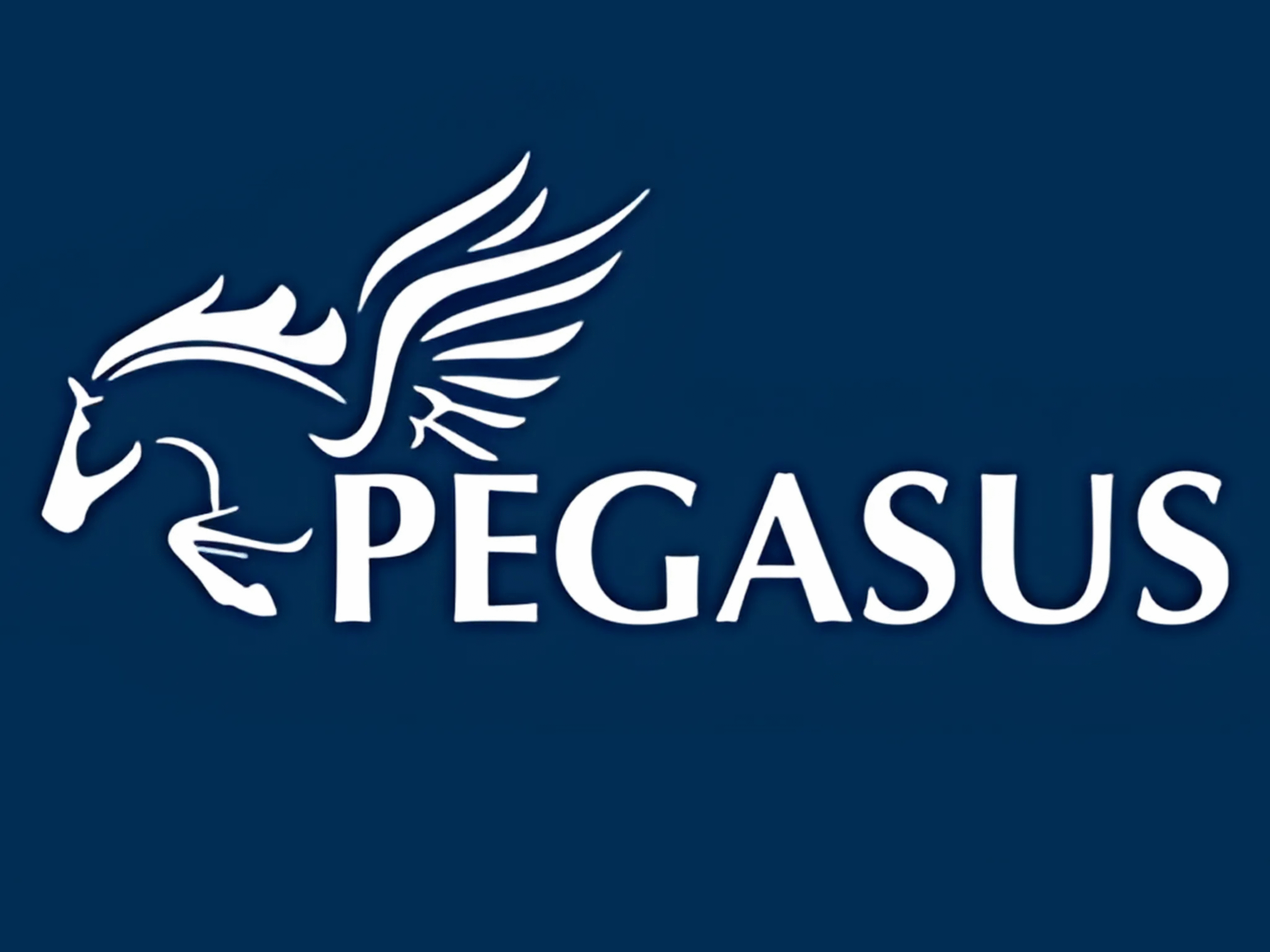 logo 04